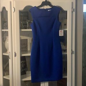 NWT Royal Blue Calvin Klein